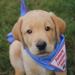 Event Home: myLeaderdog Fundraiser